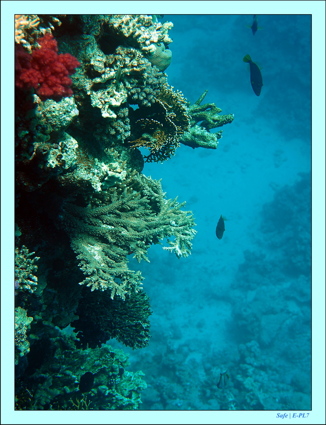 2023 - 03 - Charm El Sheikh - 35